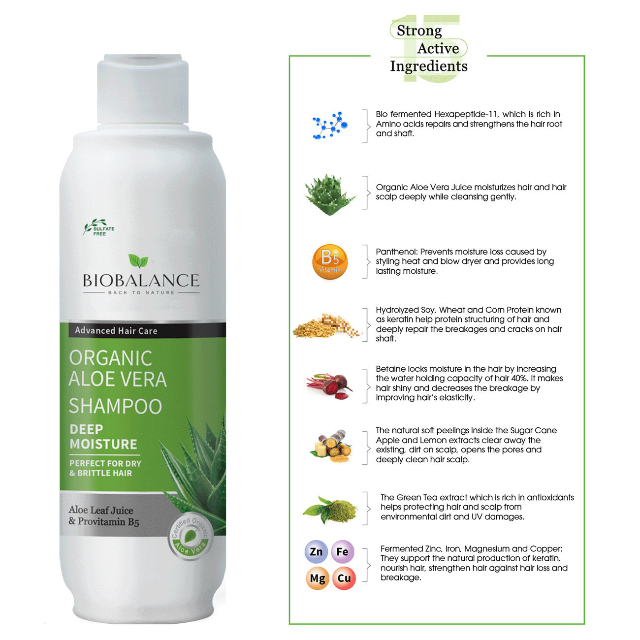 Organic Aloe Vera Shampoo Perfect For Dry & Brittle Hair