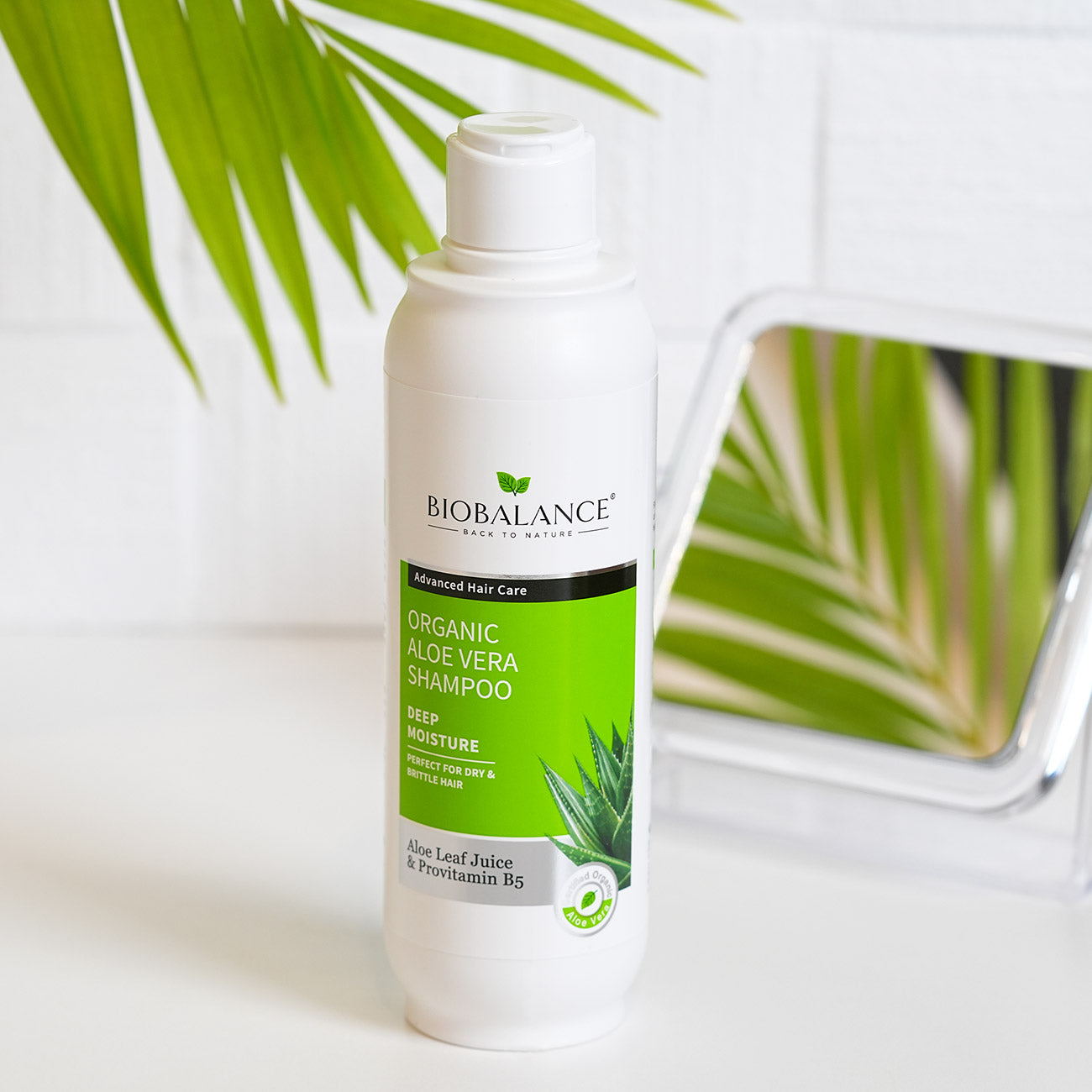 Organic Aloe Vera Shampoo Perfect For Dry & Brittle Hair