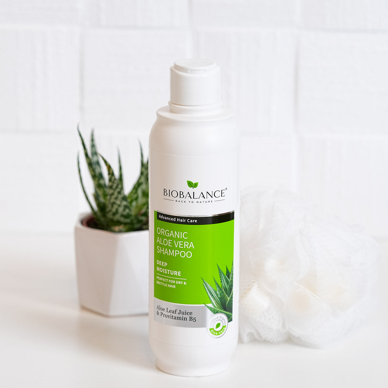 Organic Aloe Vera Shampoo Perfect For Dry & Brittle Hair