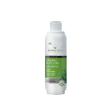 Organic Aloe Vera Shampoo Perfect For Dry & Brittle Hair