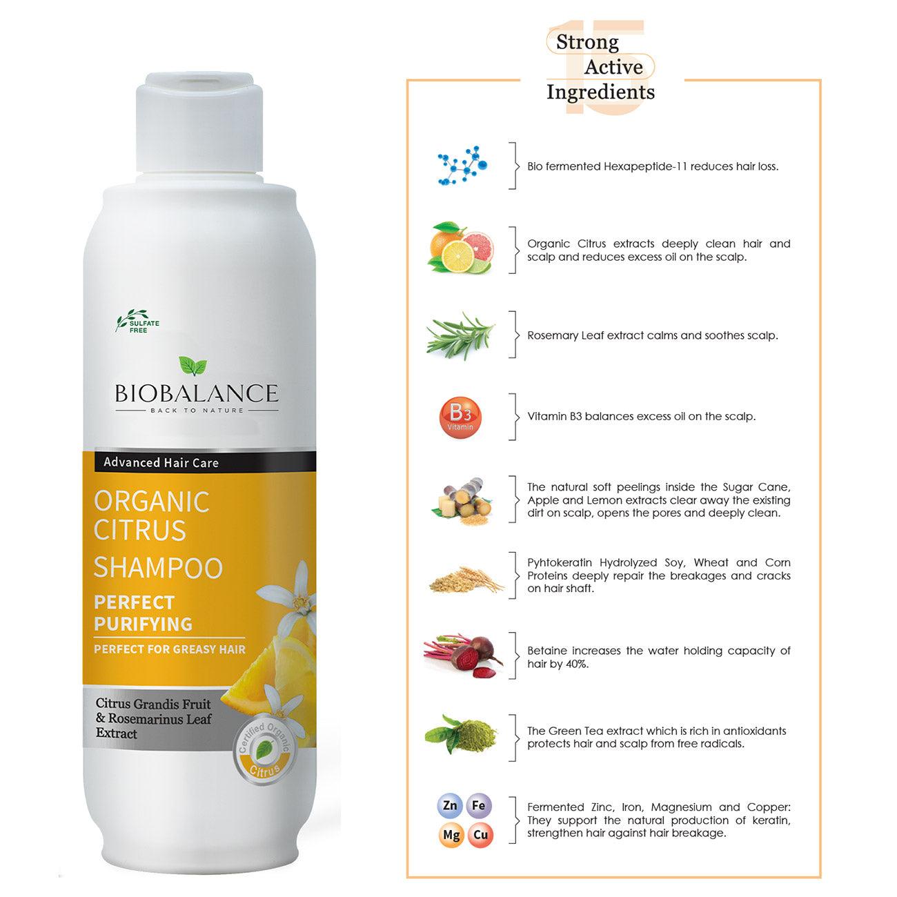 Organic Citrus Shampoo For Greasy Hair