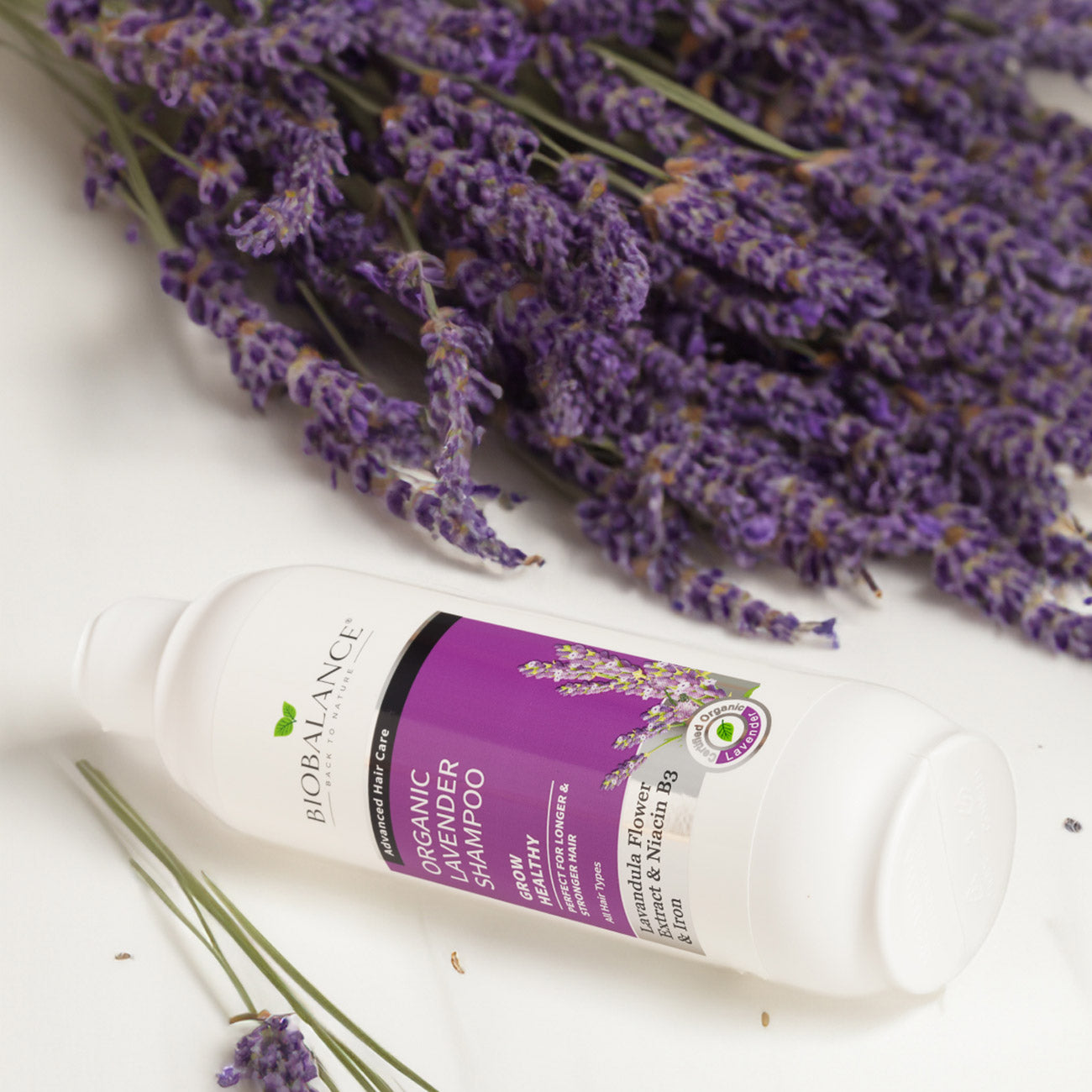 Organic Lavender Shampoo