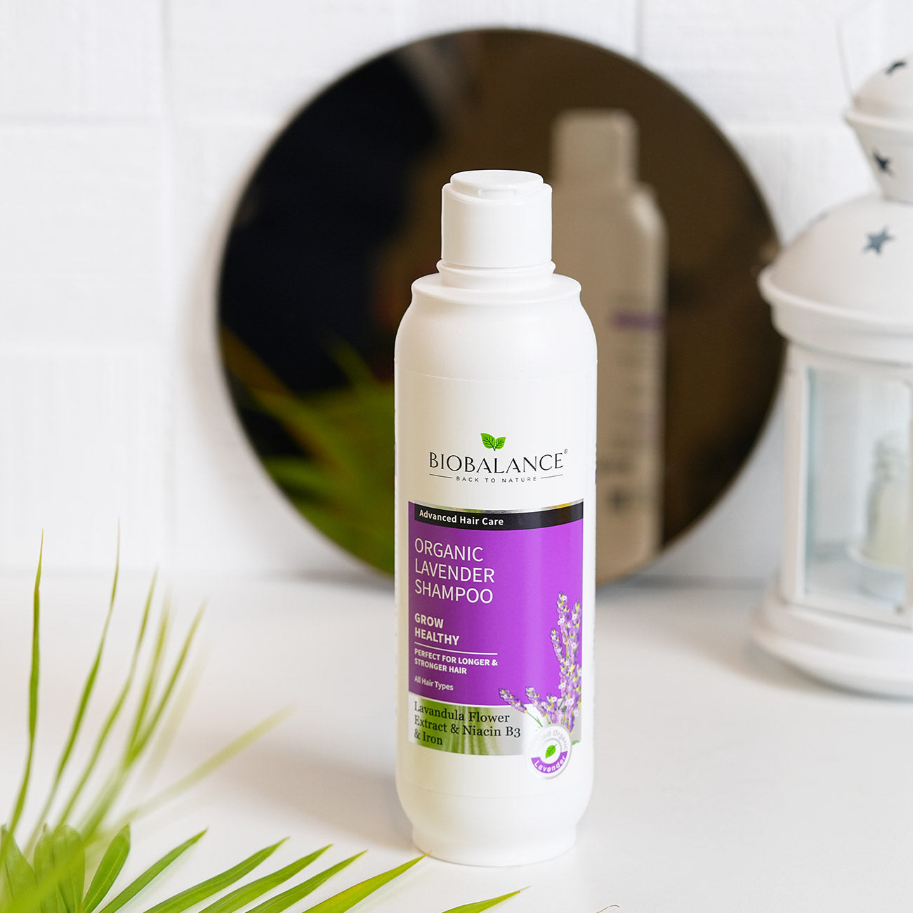 Organic Lavender Shampoo