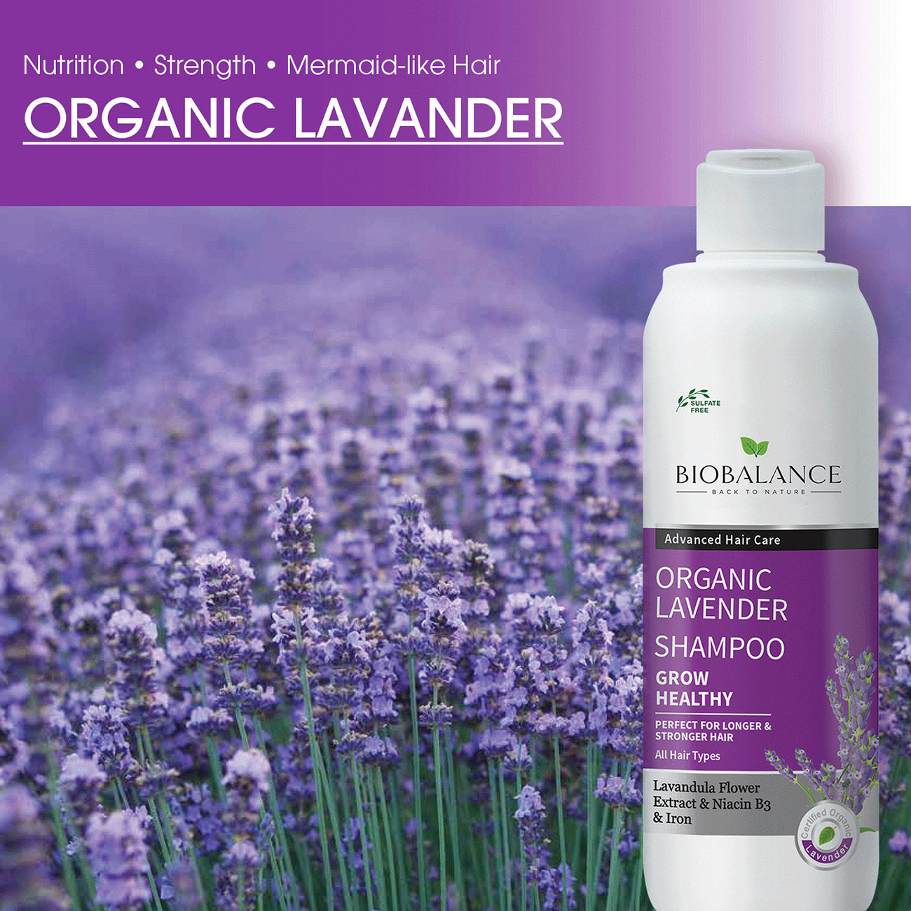 Organic Lavender Shampoo