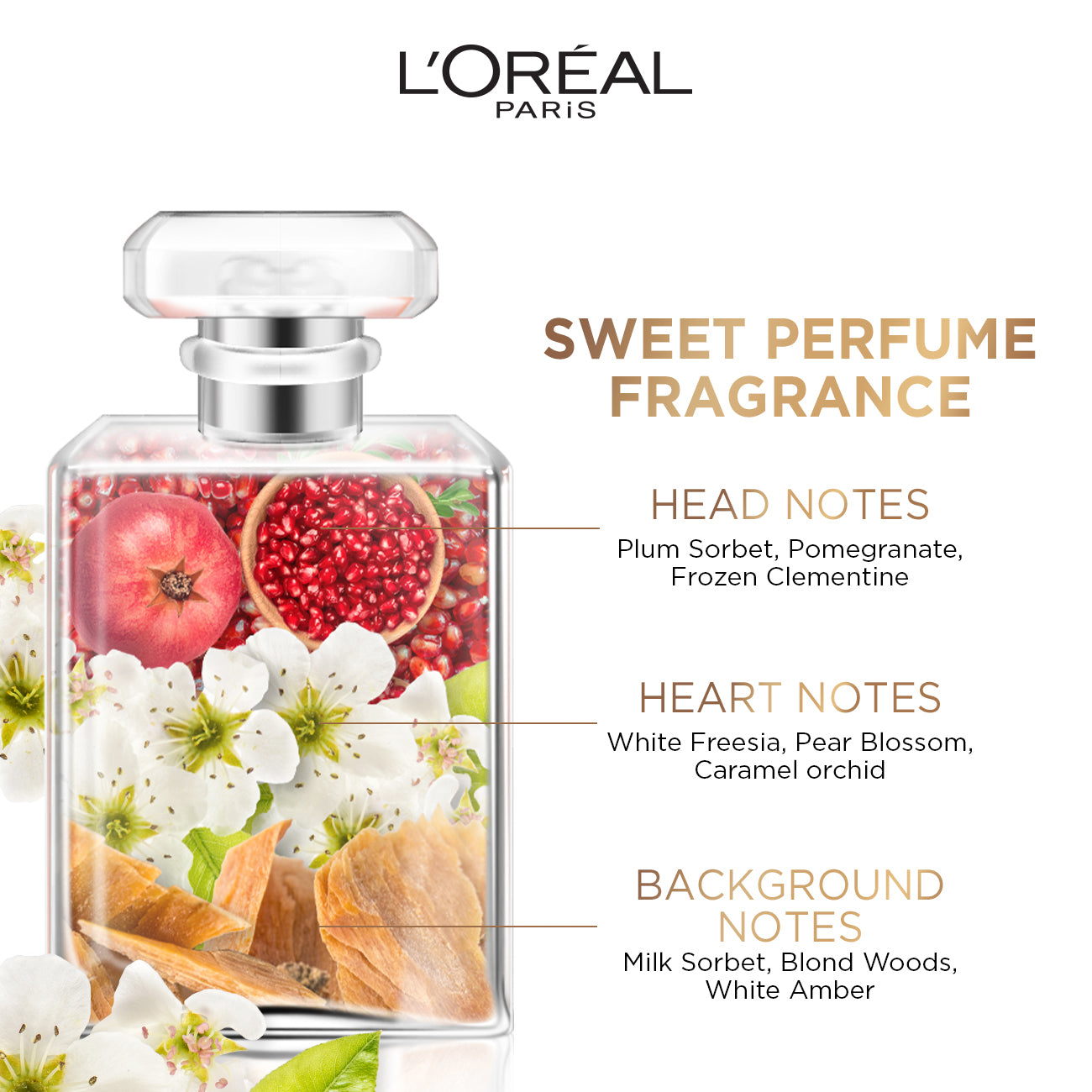 L’Oréal Paris - Elvive - Dream Long - Restoring Shampoo for Long, Damaged Hair- Infused with Keratin and Castor Oil