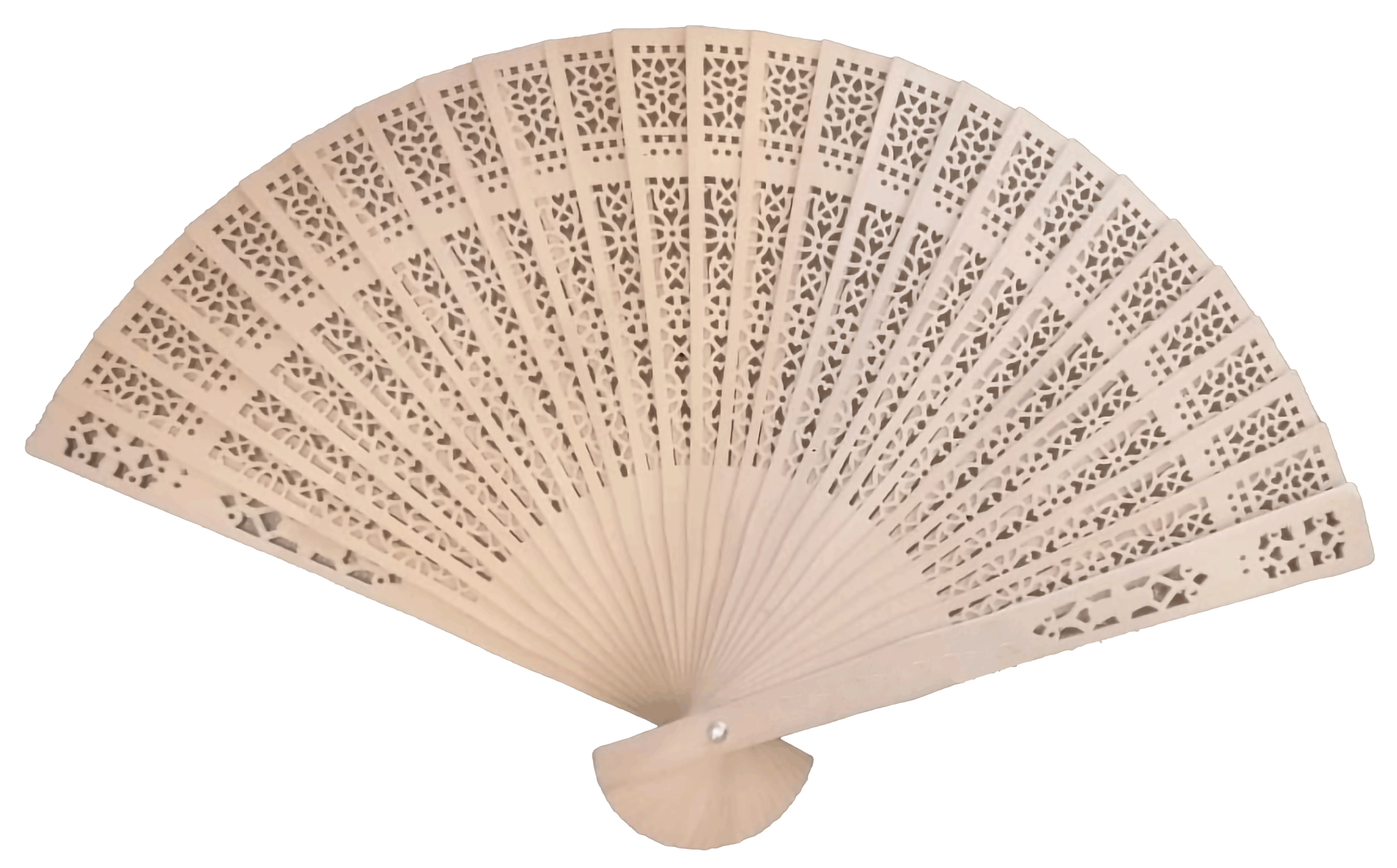 Hand Fan-Choose To Shine