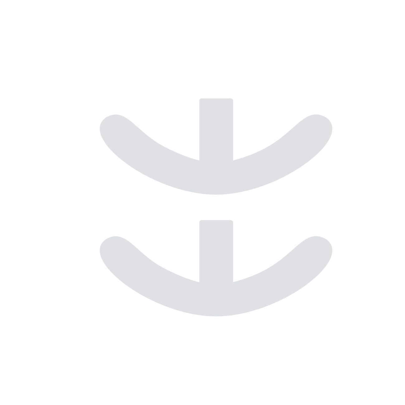 Anchor 2Pcs (NG-326)