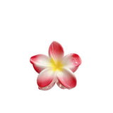 L'Oréal Paris Flower Clip - Gift