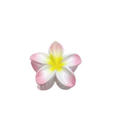 L'Oréal Paris Flower Clip - Gift