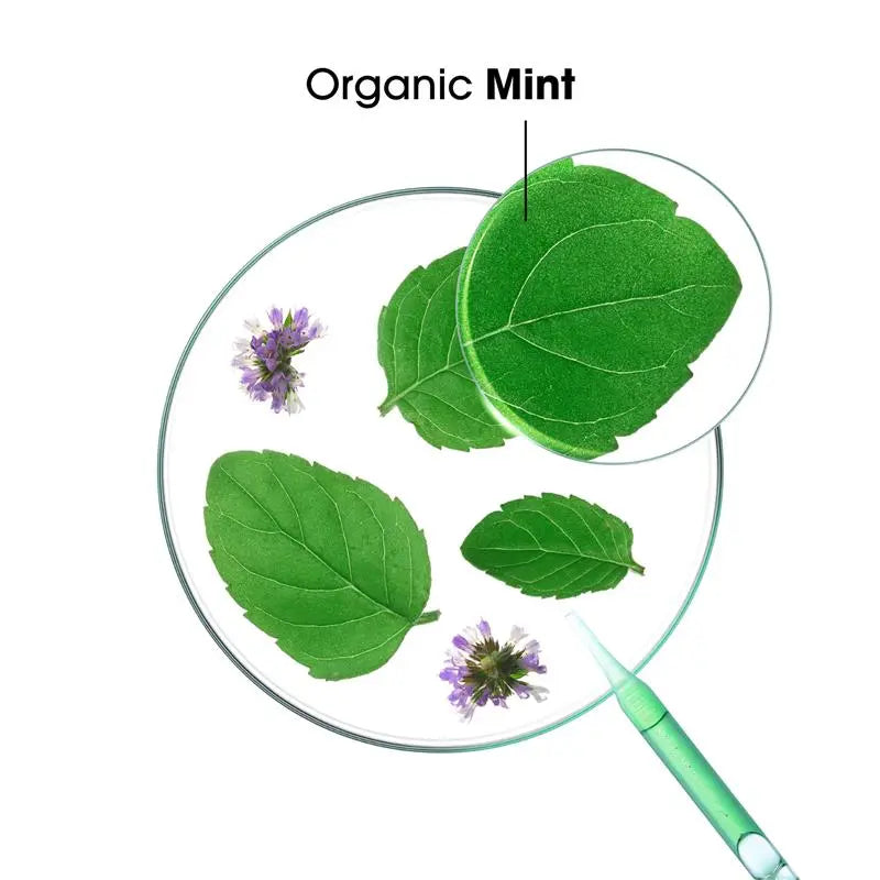 Detox Shampoo with Aquatic Mint