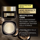 L'Oréal Paris Age Perfect Cell Renewal Anti-Aging Day Moisturizer - Skin Society {{ shop.address.country }}