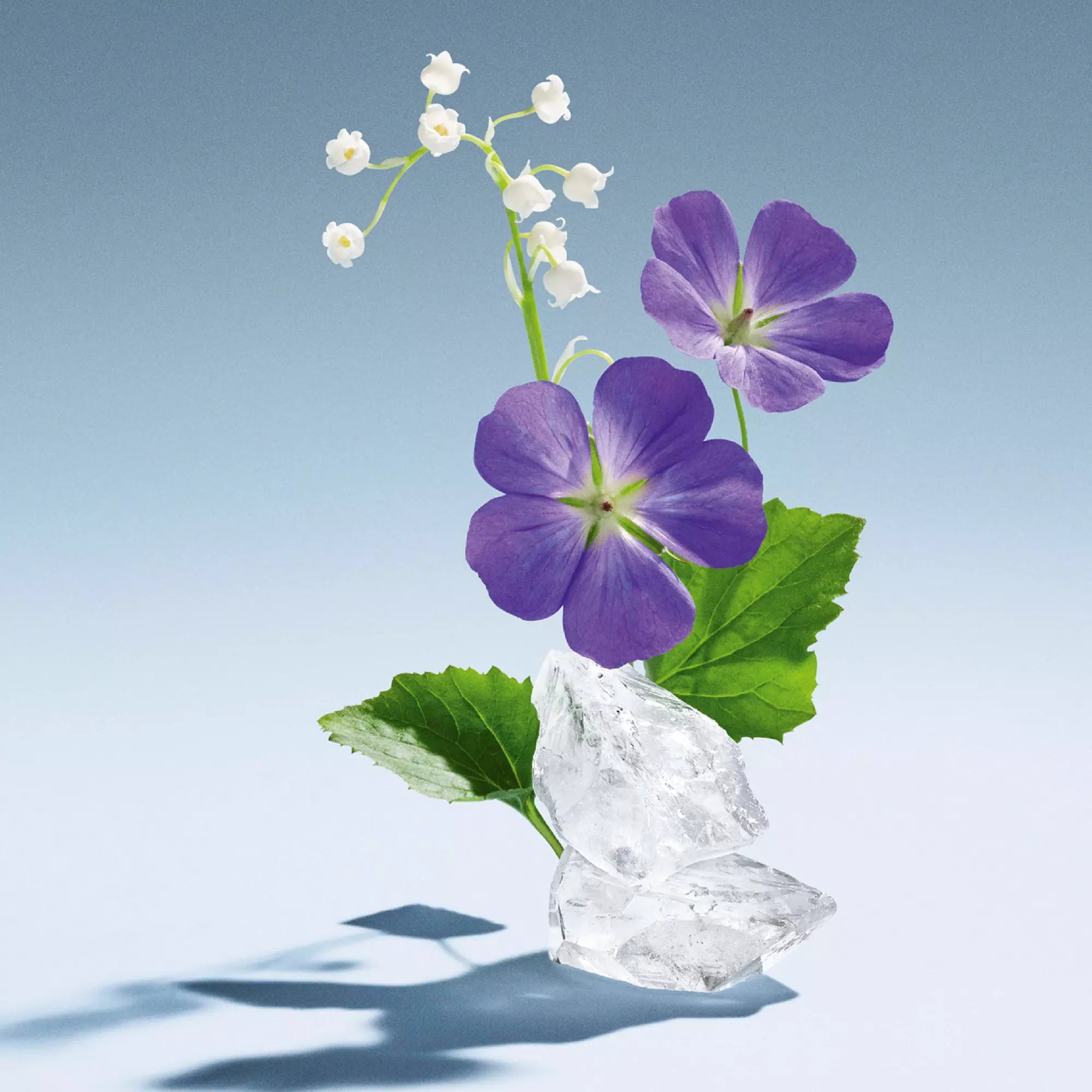 L'eau Bleue Eau de Parfum