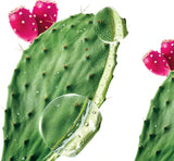 Klorane Prickly Pear Moisturizing Shampoo For Dehydrated, Dull Hair